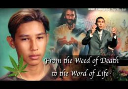 From the weed of death to the Word of Life – Taj Pacleb